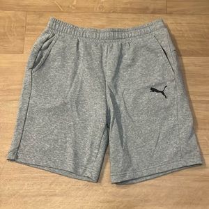 Mens Puma Fleece Shorts